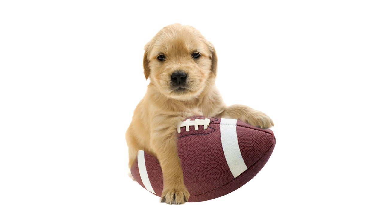 The top 10 softest Power-5 non-conference schedules in 2015